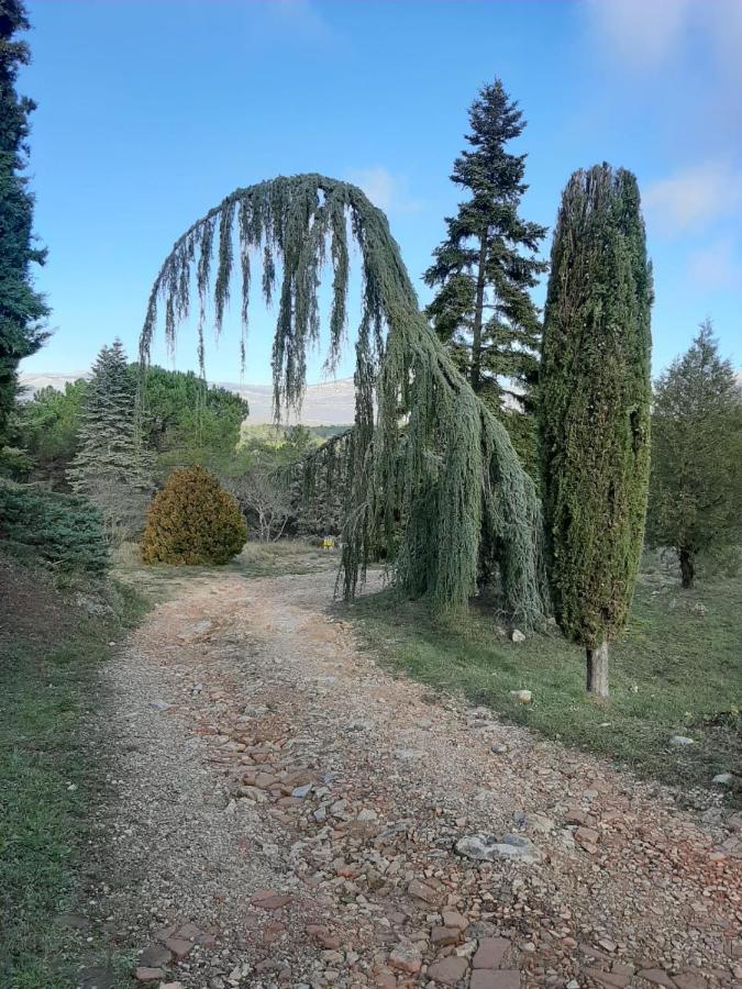 Hotel Domaine De La Xavoliere Saint-Cézaire-sur-Siagne Zewnętrze zdjęcie